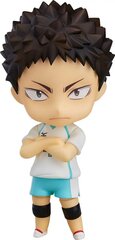 Haikyu!! Hajime Iwaizumi hind ja info | Fännitooted mänguritele | kaup24.ee