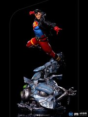 DC Comics Deluxe Art Scale цена и информация | Атрибутика для игроков | kaup24.ee