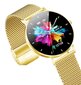 Manta SWU501LGD Gold цена и информация | Nutikellad (smartwatch) | kaup24.ee