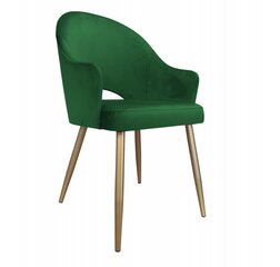 Söögitool Decorates Alex gold, 87x65 cm, roheline/kuldne hind ja info | Söögilaua toolid, köögitoolid | kaup24.ee