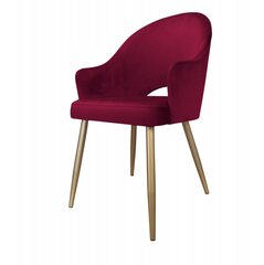 Söögitool Decorates Alex gold, 87x65 cm, punane/kuldne hind ja info | Söögilaua toolid, köögitoolid | kaup24.ee