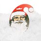 Jõulupuu kaunistus hind ja info | Jõulukaunistused | kaup24.ee