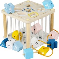 Õpetlik puidust kuubik Kruzzel hind ja info | Imikute mänguasjad | kaup24.ee