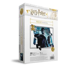 Пазл «Гарри Поттер» с 3D-эффектом Принца-полукровки (100 деталей) цена и информация | Пазлы | kaup24.ee