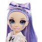 Rainbow High Cheer Doll - Violet Willow Cheerleader Doll hind ja info | Tüdrukute mänguasjad | kaup24.ee