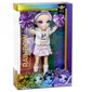 Rainbow High Cheer Doll - Violet Willow Cheerleader Doll hind ja info | Tüdrukute mänguasjad | kaup24.ee