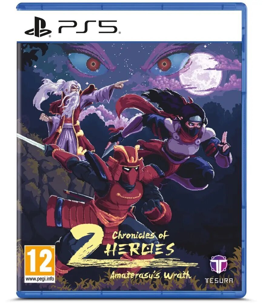 Chronicles of 2 Heroes: Amaterasu's Wrath hind ja info | Arvutimängud, konsoolimängud | kaup24.ee