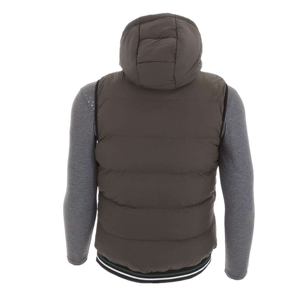 Nature tepitud vest meestele, roheline hind ja info | Meeste vestid | kaup24.ee