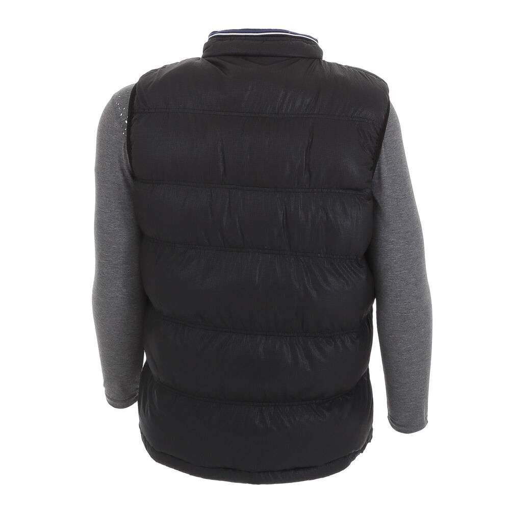 Nature tepitud vest meestele, must hind ja info | Meeste vestid | kaup24.ee