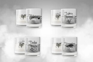 Harry Potter klaasikomplekt, 4 tk. hind ja info | Klaasid, tassid ja kannud | kaup24.ee