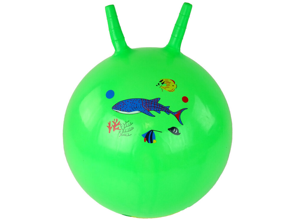 Hüppepall 45 cm, roheline, haipuu hind ja info | Mänguasjad (vesi, rand ja liiv) | kaup24.ee