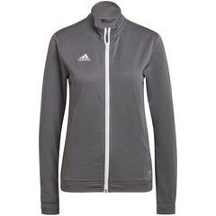 Naiste dressipluus Adidas Entrada 22, hall hind ja info | Naiste pusad | kaup24.ee