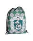 Harry Potter seljakott - Slytherin, 43x32 cm hind ja info | Koolikotid, sussikotid | kaup24.ee