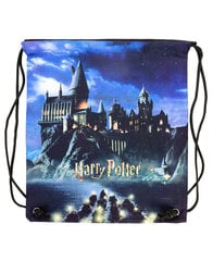 Harry Potteri materjali seljakott - öö Sigatüükas, 33x45 cm litsentseeritud toode, originaal цена и информация | Школьные рюкзаки, спортивные сумки | kaup24.ee