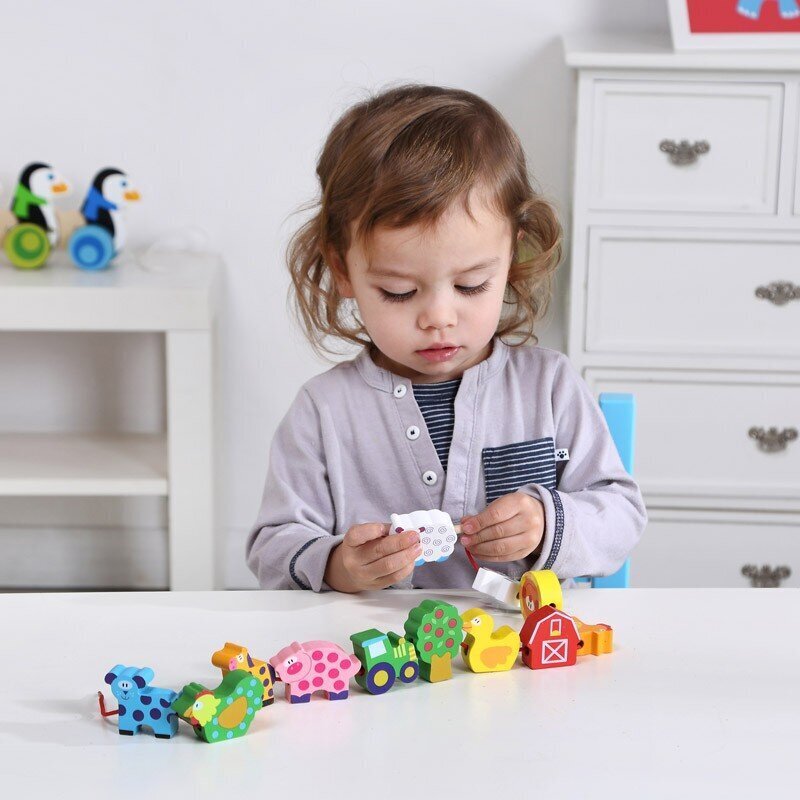 Tooky mänguasjade pöörlevad klotsid, 13 tk hind ja info | Arendavad mänguasjad | kaup24.ee