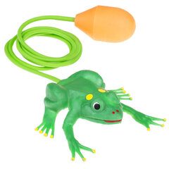 Игрушечная прыгающая лягушка цена и информация | Развивающие игрушки | kaup24.ee