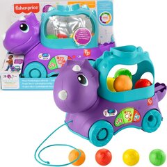 Põrkuvad pallid Fisher Price dinosaurus цена и информация | Развивающие игрушки | kaup24.ee