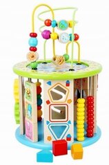 Развивающий деревянный кубик Монтессори 11в1 цена и информация | Развивающие игрушки и игры | kaup24.ee