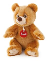 Plüüsist mängukaru Trudi Classic Bear Ettore S, TUD25609 hind ja info | Pehmed mänguasjad | kaup24.ee