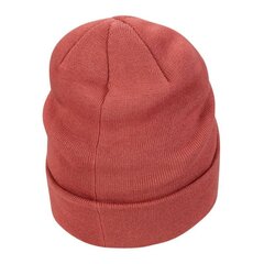 Poiste müts Nike Beanie Jr. CW5871-691, punane hind ja info | Poiste mütsid, sallid, kindad | kaup24.ee