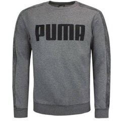 Meeste dressipluus Puma 84446101, hall hind ja info | Meeste pusad | kaup24.ee