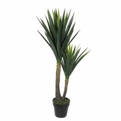 Декоративное растение Mica Decorations Yucca (120 x 60 cm) цена и информация | Искусственные цветы | kaup24.ee