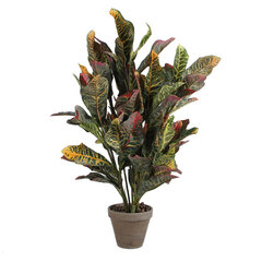 Декоративное растение Mica Decorations Croton Зеленый PVC (73 x 40 cm) цена и информация | Искусственные цветы | kaup24.ee