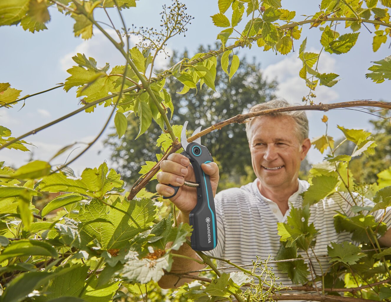 Oksakäärid Gardena akugal Assistcut Bypass 25mm hind ja info | Aiatööriistad | kaup24.ee