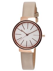 Käekell naistele Skagen SKW2481 цена и информация | Женские часы | kaup24.ee