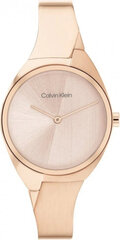 Женские часы Calvin Klein 25200236 цена и информация | Женские часы | kaup24.ee