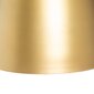 Rippvalgusti Bigbuy Home, kuldne hind ja info | Laelambid | kaup24.ee