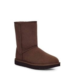 Saapad naistele UGG 370213, pruun hind ja info | Naiste saapad | kaup24.ee