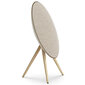 Bang & Olufsen Beosound A9 5th Gen Gold Tone 1200633 hind ja info | Kõlarid | kaup24.ee