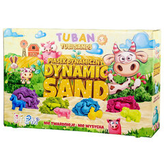 Dünaamiline liivakomplekt, Tuban hind ja info | Arendavad mänguasjad | kaup24.ee