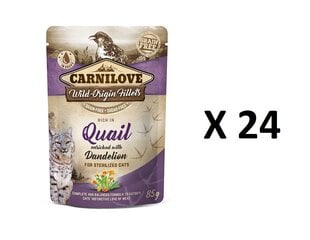Carnilove konserv kassidele vutiliha ja võililledega 24 X 85g hind ja info | Konservid kassidele | kaup24.ee