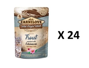 Carnilove консервы для кошек с форелью и эхинацеей 24 X 85г цена и информация | Кошачьи консервы | kaup24.ee