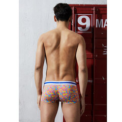 Lühikesed püksid meestele Seobean, erinevad värvid hind ja info | Meeste aluspesu | kaup24.ee