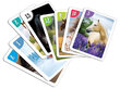 Peter ja Memory kaardimängu komplekt, hobused hind ja info | Arendavad mänguasjad | kaup24.ee