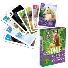 Peter ja Memory kaardimängu komplekt, hobused hind ja info | Arendavad mänguasjad | kaup24.ee