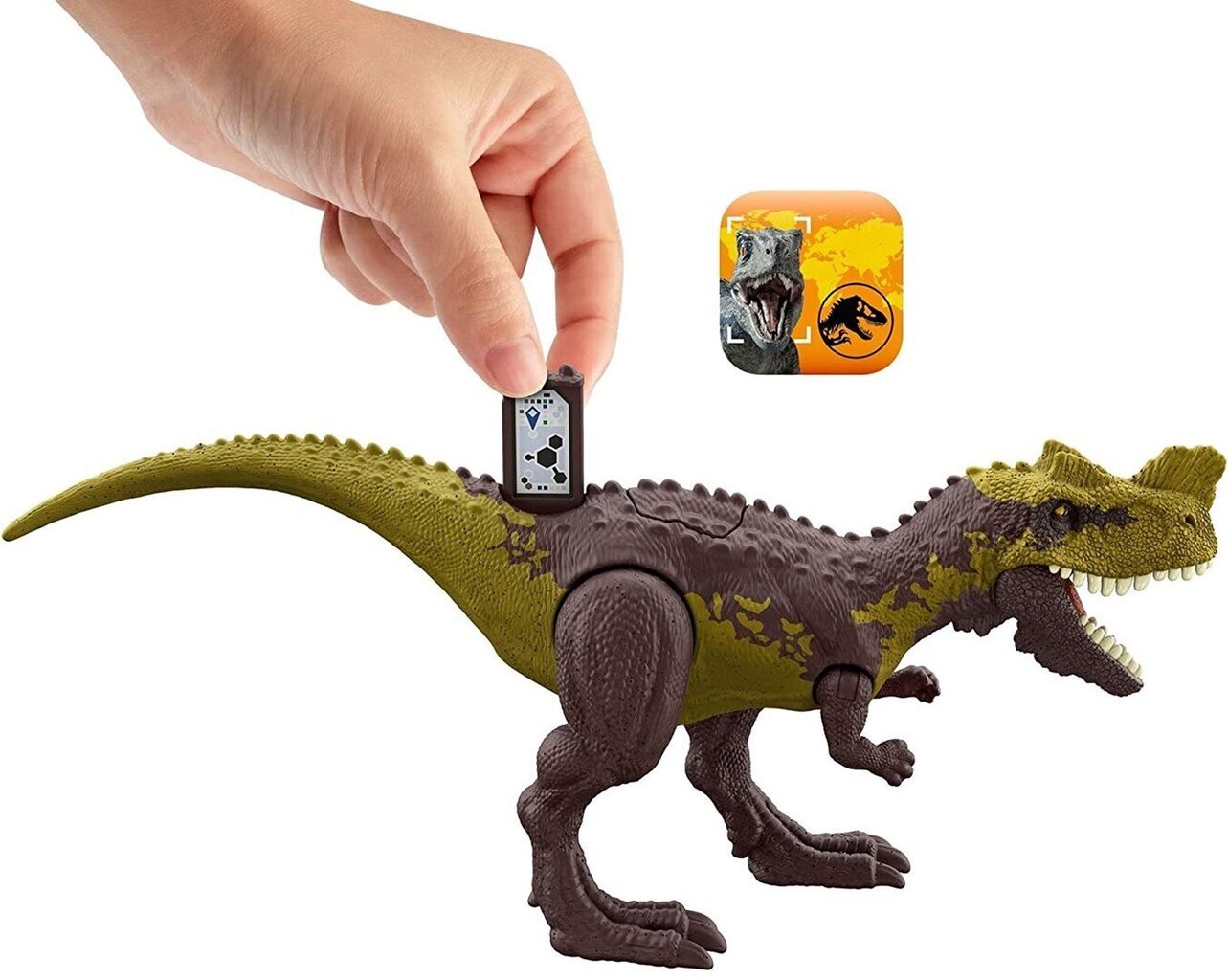 Joonis Jurassic World Dino Trackers dinosaurus Genyodectes Serus hind ja info | Poiste mänguasjad | kaup24.ee