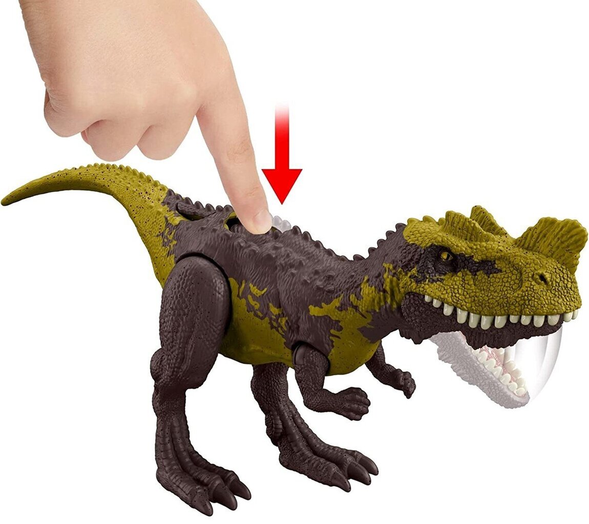 Joonis Jurassic World Dino Trackers dinosaurus Genyodectes Serus hind ja info | Poiste mänguasjad | kaup24.ee