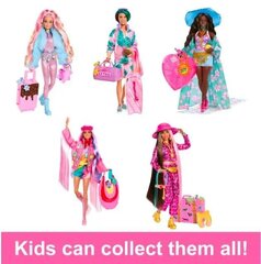 Collector Doll Set Flight on Safari Barbie цена и информация | Игрушки для девочек | kaup24.ee