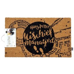Harry Potter Mischief Managed hind ja info | Fännitooted mänguritele | kaup24.ee