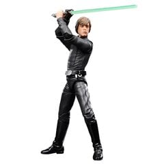 Hasbro Star Wars Celebration The Black Series hind ja info | Fännitooted mänguritele | kaup24.ee