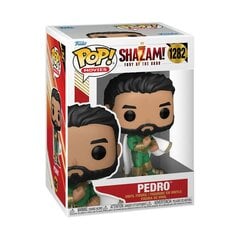 Funko Shazam! Pedro цена и информация | Атрибутика для игроков | kaup24.ee