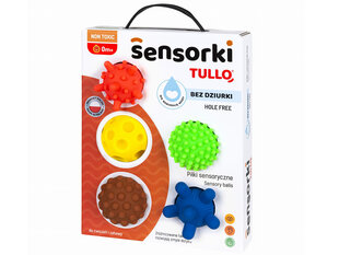 Värvilised sensoorsed pallid Tullo, 5tk цена и информация | Игрушки для малышей | kaup24.ee