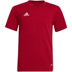 T-särk poistele Adidas Entrada 22 Tee Jr HC0446, punane hind ja info | Poiste särgid | kaup24.ee