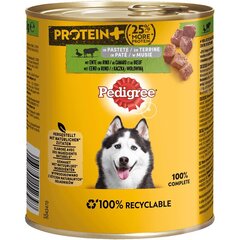 Pedigree Protein+ Adult täiskasvanud koertele koos pardi ja veiselihaga, 12x800 g цена и информация | Консервы для собак | kaup24.ee