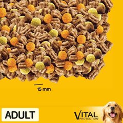 Pedigree Adult täiskasvanud koertele koos kana ja juurviljadega, 3x2,6 kg hind ja info | Kuivtoit koertele | kaup24.ee