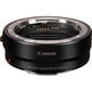 Canon Eos R50 + Rf-S 18-45mm f/4.5-6.3 IS Stm + Mount Adapter Ef-Eos R цена и информация | Fotoaparaadid | kaup24.ee